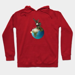 Who looks like a donkey with dynamite? Hoodie